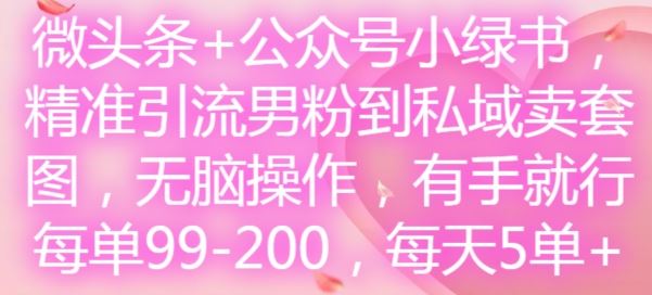 微头条+公众号小绿书，精准引流男粉到私域卖套图，无脑操作，有手就行，每单99-200，每天5单-网创资源总站