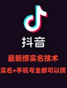 最新技术抖音捞实名+捞手机号技术，抖音直播封禁释放十名/手机号，直接替换出来!-网创资源总站