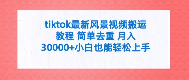 tiktok最新风景视频搬运教程 简单去重 月入3W+小白也能轻松上手【揭秘】-网创资源总站
