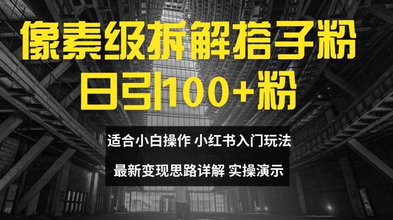 像素级拆解搭子粉，日引100+，小白看完可上手，最新变现思路详解【揭秘】-网创资源总站