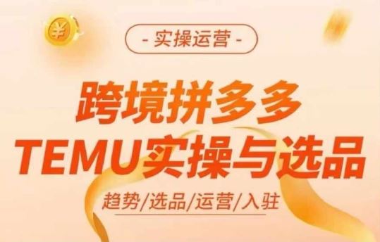 跨境拼多多TEMU实操与选品，多多temu跨境选品运营实操-网创资源总站