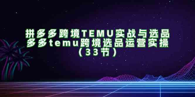 拼多多跨境TEMU实战与选品，多多temu跨境选品运营实操（33节）-网创资源总站