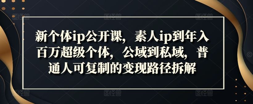 新个体ip公开课，素人ip到年入百万超级个体，公域到私域，普通人可复制的变现路径拆解-网创资源总站