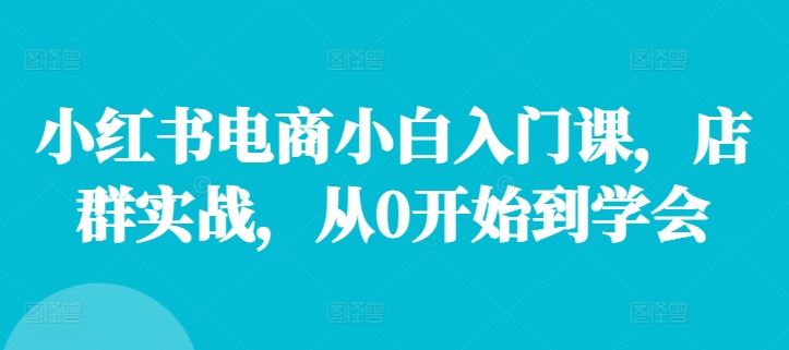 小红书电商小白入门课，店群实战，从0开始到学会-网创资源总站