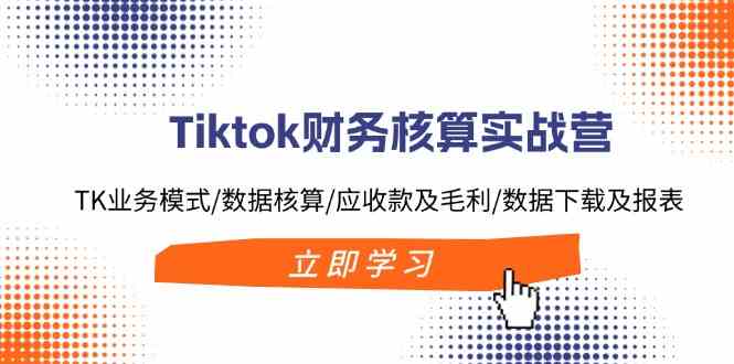 Tiktok财务核算实战营：TK业务模式/数据核算/应收款及毛利/数据下载及报表-网创资源总站