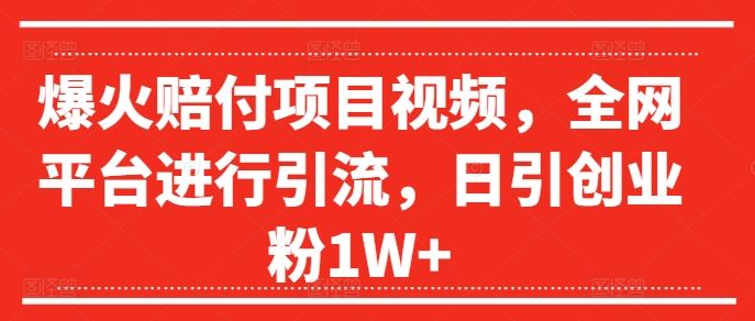 爆火赔付项目视频，全网平台进行引流，日引创业粉1W+【揭秘】-网创资源总站