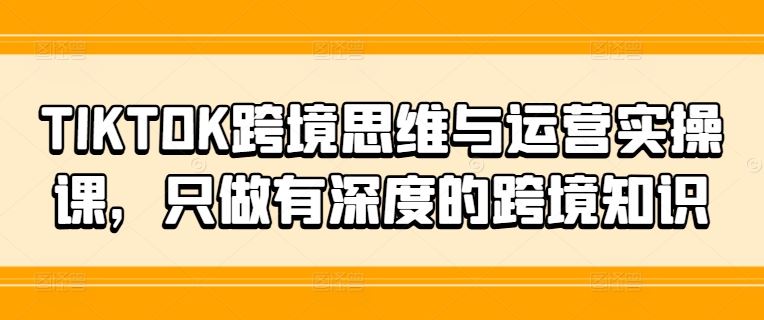TIKTOK跨境思维与运营实操课，只做有深度的跨境知识-网创资源总站
