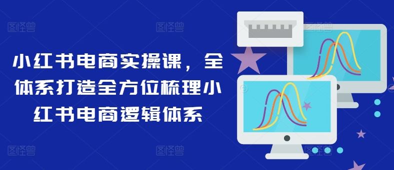 小红书电商实操课，全体系打造全方位梳理小红书电商逻辑体系-网创资源总站