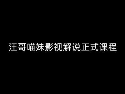 汪哥影视解说正式课程：剪映/PR教学/视解说剪辑5大黄金法则/全流程剪辑7把利器等等-网创资源总站