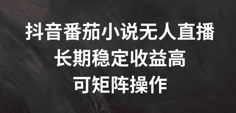 抖音番茄小说无人直播，长期稳定收益高，可矩阵操作【揭秘】-网创资源总站