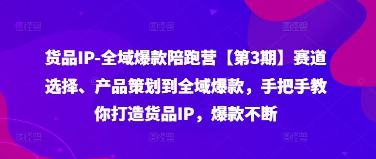 货品IP全域爆款陪跑营【第3期】赛道选择、产品策划到全域爆款，手把手教你打造货品IP，爆款不断-网创资源总站