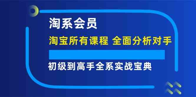 淘系会员初级到高手全系实战宝典【淘宝所有课程，全面分析对手】-网创资源总站
