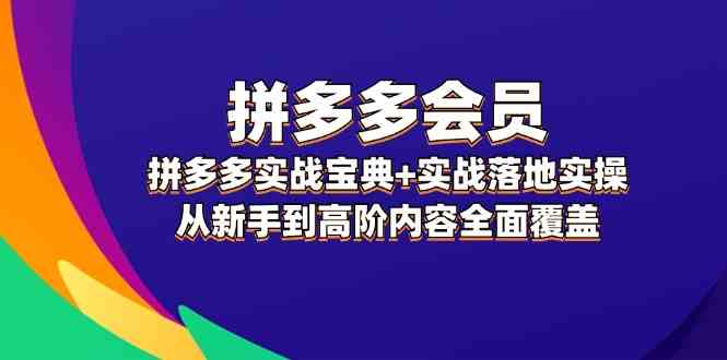 拼多多会员实战宝典+实战落地实操，从新手到高阶内容全面覆盖-网创资源总站