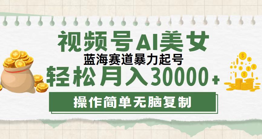 （12087期）视频号AI美女跳舞，轻松月入30000+，蓝海赛道，流量池巨大，起号猛，无…-网创资源总站