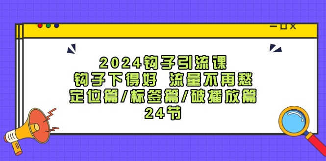 （12097期）2024钩子·引流课：钩子下得好 流量不再愁，定位篇/标签篇/破播放篇/24节-网创资源总站