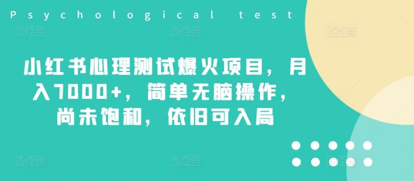 小红书心理测试爆火项目，月入7000+，简单无脑操作，尚未饱和，依旧可入局-网创资源总站