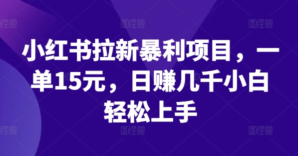 小红书拉新暴利项目，一单15元，日赚几千小白轻松上手-网创资源总站