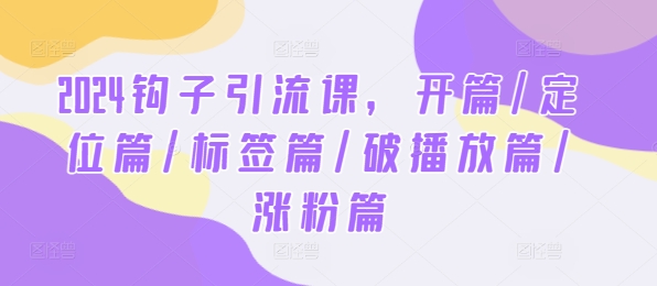 2024钩子引流课，开篇/定位篇/标签篇/破播放篇/涨粉篇-网创资源总站