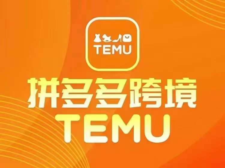 最新TEMU拼多多跨境教程，开店、运营、选品-网创资源总站