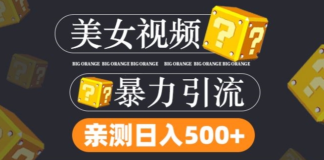 搬运tk美女视频全网分发，日引s粉300+，轻松变现，不限流量不封号-网创资源总站