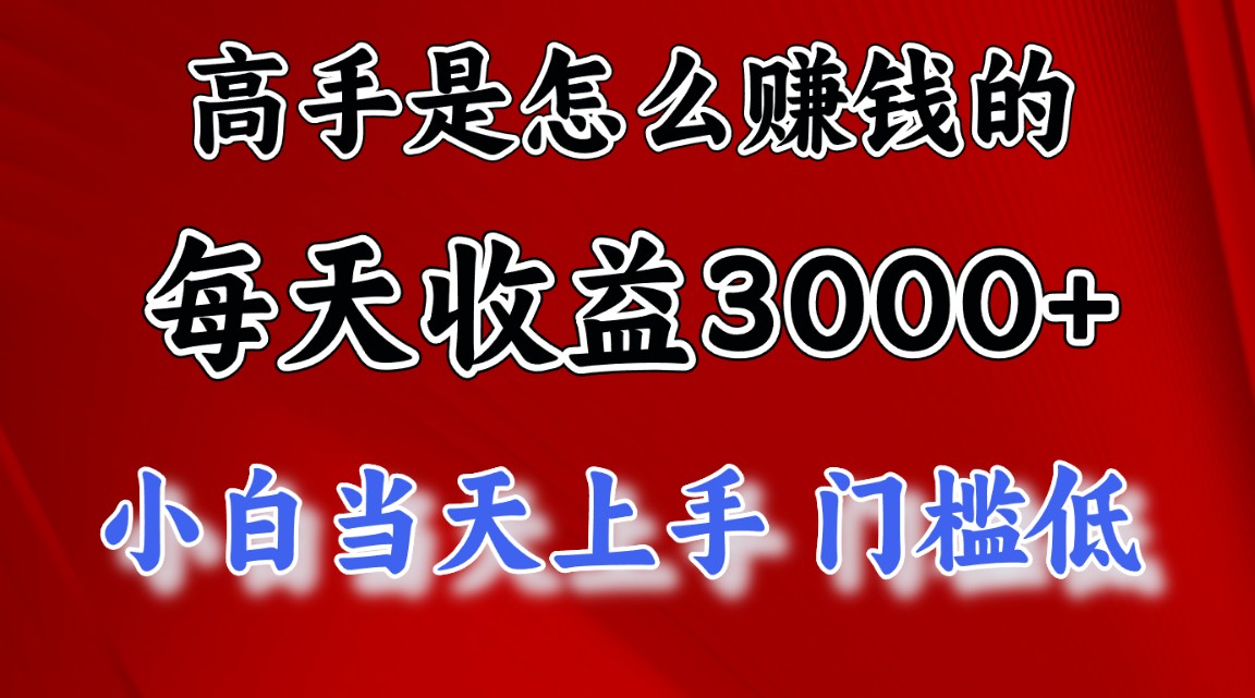 （12144期）1天收益3000+，月收益10万以上，24年8月份爆火项目-网创资源总站