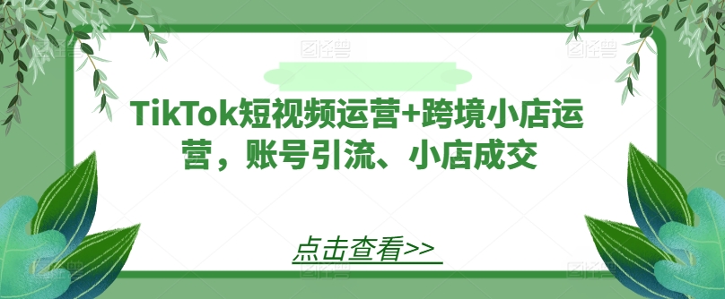 TikTok短视频运营+跨境小店运营，账号引流、小店成交-网创资源总站