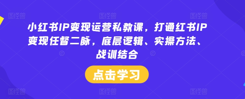 小红书IP变现运营私教课，打通红书IP变现任督二脉，底层逻辑、实操方法、战训结合-网创资源总站