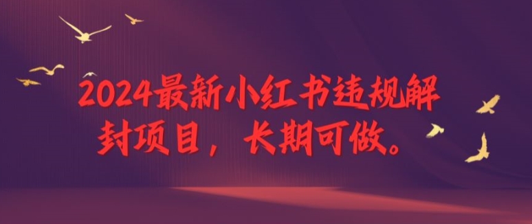 2024最新小红书违规解封项目，长期可做，一个可以做到退休的项目-网创资源总站