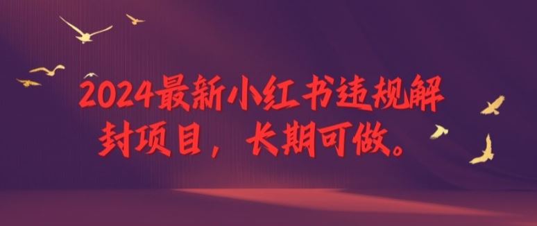 2024最新小红书违规解封项目，长期可做，一个可以做到退休的项目【揭秘】-网创资源总站