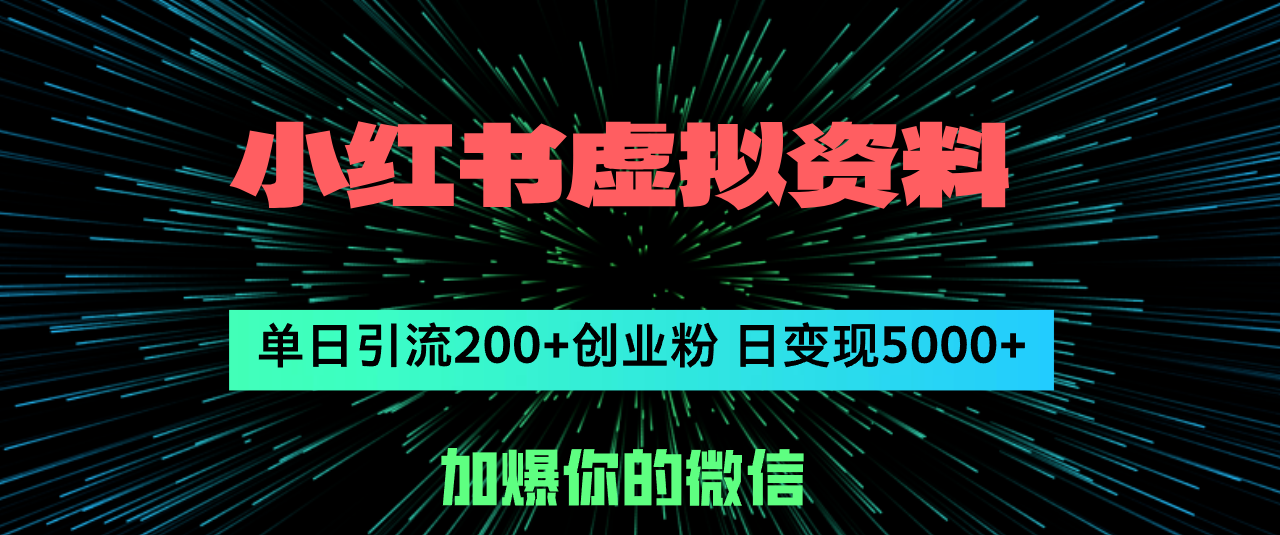 （12164期）小红书虚拟资料日引流200+创业粉，单日变现5000+-网创资源总站