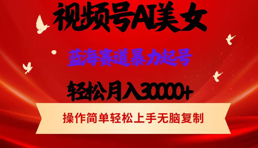 （12178期）视频号AI美女跳舞，轻松月入30000+，蓝海赛道，流量池巨大，起号猛，当…-网创资源总站