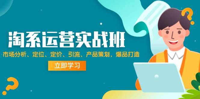 （12186期）淘系运营实战班：市场分析、定位、定价、引流、产品策划，爆品打造-网创资源总站