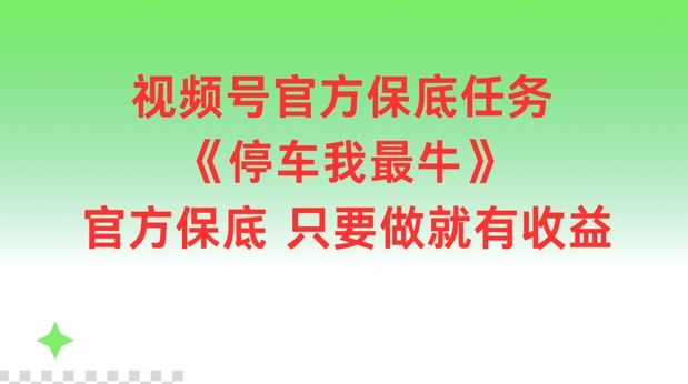 视频号官方保底任务，停车我最牛，官方保底只要做就有收益【揭秘】-网创资源总站