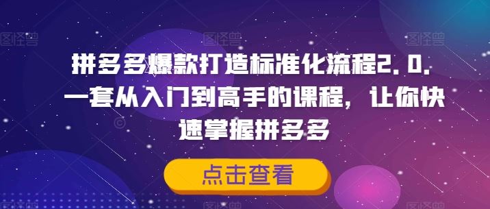 拼多多爆款打造标准化流程2.0，一套从入门到高手的课程，让你快速掌握拼多多-网创资源总站