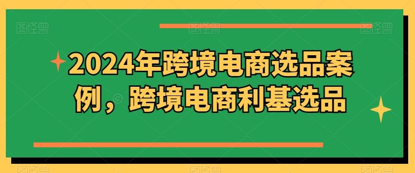 2024年跨境电商选品案例，跨境电商利基选品（更新）-网创资源总站