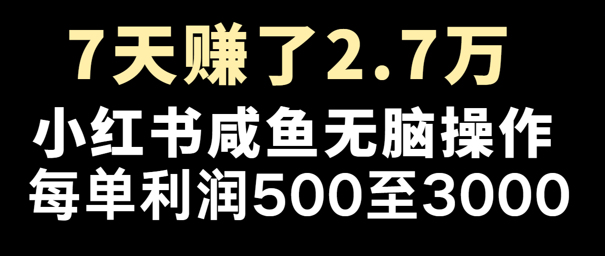 七天赚了2.7万！每单利润最少500+，轻松月入5万+小白有手就行-网创资源总站