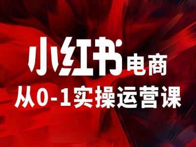 小红书电商从0-1实操运营课，让你从小白到精英-网创资源总站