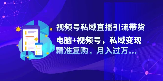 （12249期）视频号私域直播引流带货：电脑+视频号，私域变现，精准复购，月入过万…-网创资源总站