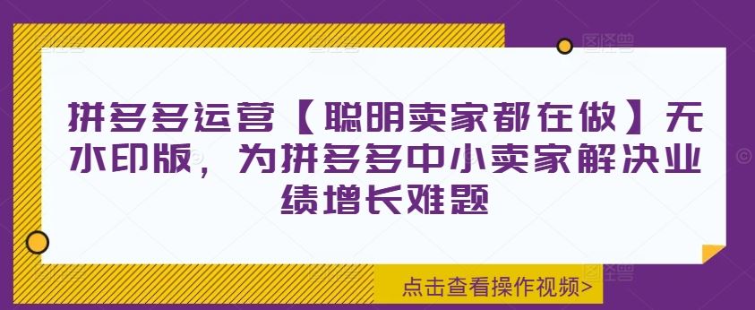 拼多多运营【聪明卖家都在做】无水印版，为拼多多中小卖家解决业绩增长难题-网创资源总站