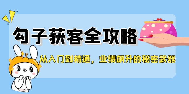 从入门到精通，勾子获客全攻略，业绩飙升的秘密武器-网创资源总站