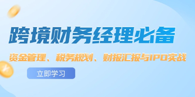 （12323期）跨境 财务经理必备：资金管理、税务规划、财报汇报与IPO实战-网创资源总站