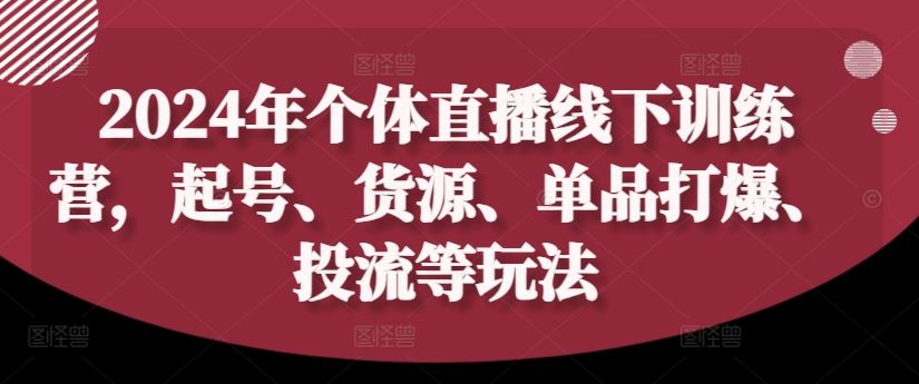 2024年个体直播训练营，起号、货源、单品打爆、投流等玩法-网创资源总站