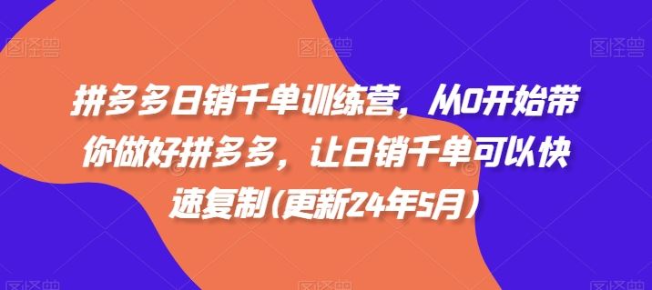 拼多多日销千单训练营，从0开始带你做好拼多多，让日销千单可以快速复制(更新24年8月)-网创资源总站