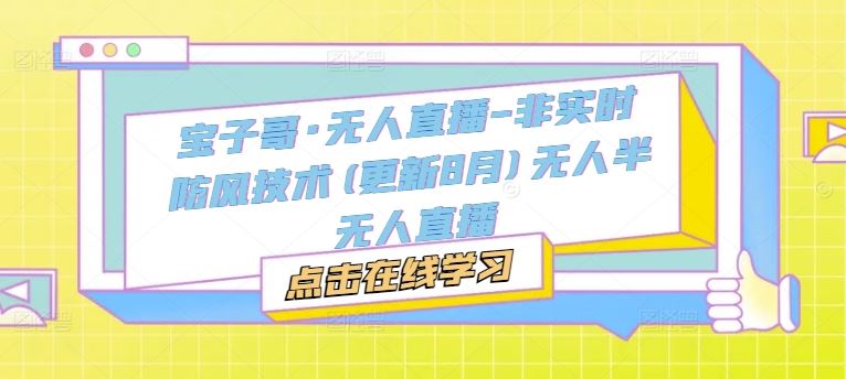 宝子哥·无人直播-非实时防风技术(更新8月)无人半无人直播-网创资源总站