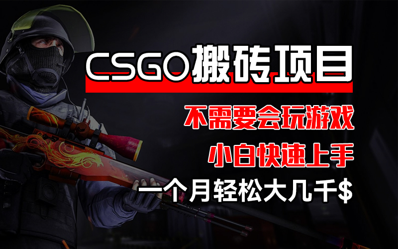 （12332期）CSGO 装备搬砖项目，操作简单，不需要会玩游戏，小白也能快速上手，一…-网创资源总站