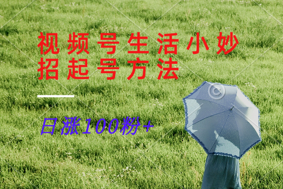 视频号生活小妙招分享赛道， 起号涨粉新方法，日涨100粉-网创资源总站