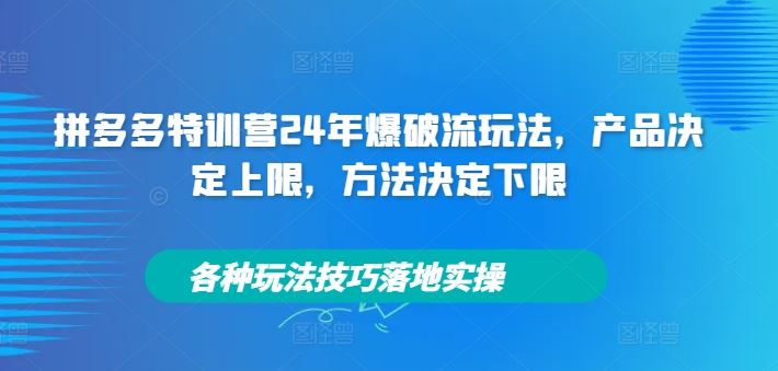 拼多多特训营24年爆破流玩法，产品决定上限，方法决定下限，各种玩法技巧落地实操-网创资源总站