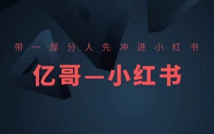 ​​带一部分人先冲进小红书，小红书开店、选品、爆款裂变-网创资源总站