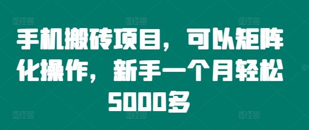 手机搬砖项目，可以矩阵化操作，新手一个月轻松5000多-网创资源总站