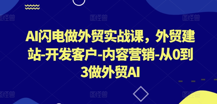 AI闪电做外贸实战课，​外贸建站-开发客户-内容营销-从0到3做外贸AI(更新)-网创资源总站